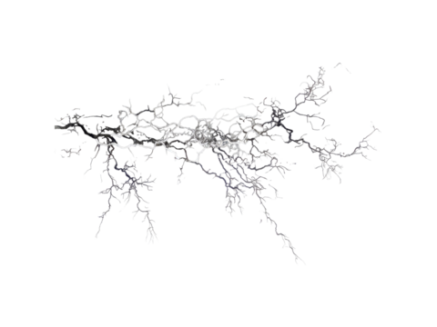 Abstract lightning bolt branching network design, Isolated On Transparent Background, Png