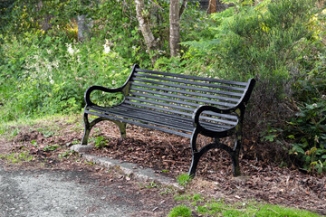 Black metal park bench in a tranquil woodland setting