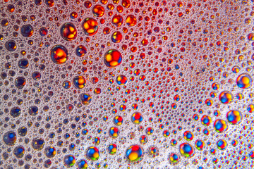 abstract colored balls of oily liquid on a blurred background