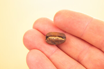 Detailed macro shot of a hand holding a split roasted coffee bean, showcasing its rich texture and...