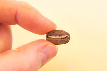 Close-up of a roasted coffee bean, split open, held by a hand against a light beige background. A...