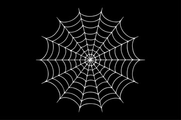 Realistic vector illustration of a spider web on a solid black background. The web is intricate and symmetrical.