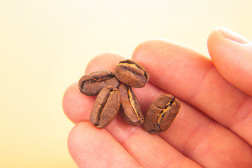Detailed macro shot of a hand holding a split roasted coffee bean, showcasing its rich texture and...