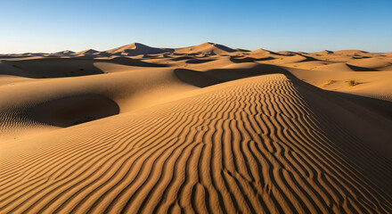 sand dunes in the desert