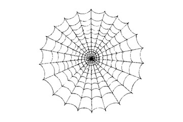 Obraz premium Realistic vector illustration of a spider web on a solid white background. The web is intricate and symmetrical.