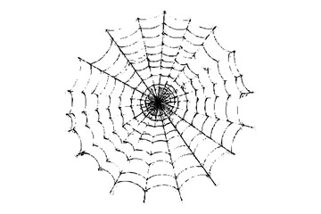 Realistic vector illustration of a spider web on a solid white background. The web is intricate and symmetrical.