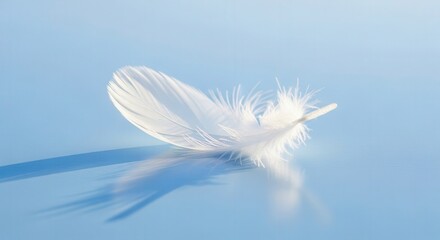 Obraz premium White feather floating on light blue background, soft and gentle, tranquil scene, airy aesthetic
