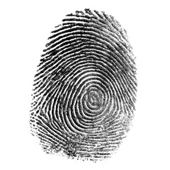 Detailed fingerprint identification evidence crime scene investigation isolated on transprint background