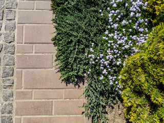 Top View of Decorative Garden Border Design