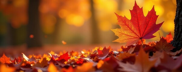 Crisp, vibrant maple & oak leaves in a colorful heap , nature photography, autumn leaves, macro