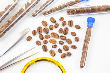 Quality control in coffee production – roasted beans under scientific examination using lab equipment