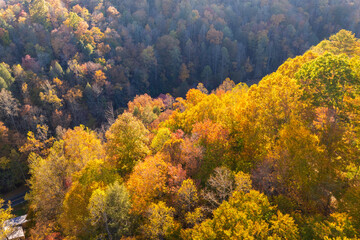 Autumn woods of Appalachian mountains at sunset with yellow and orange canopies in colorful forest. Landscape of wild nature in fall season