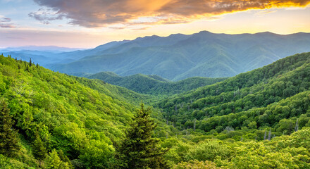 Bright sunrise in North Carolina Blue Ridge Mountains in summer season. Mt Mitchell summertime landscape of beautiful nature