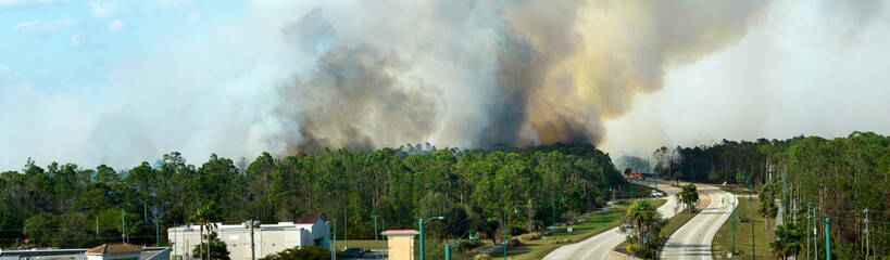 Emergency service firetrucks extinguishing wildfire burning in Florida jungle woods. Fire...