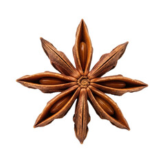 A single dried star anise pod, showcasing its distinctive star shape and rich brown color. Ideal for culinary themes, spice collections, or beverage ingredients.