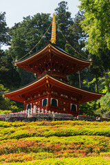 Fototapeta premium Pagoda and temple buildings at Katsuo-ji Temple near Minoh Park, Japan
