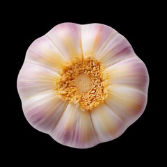 Fototapeta premium Beautiful Close-Up of a Delicate Flower with Soft Pastel Colors