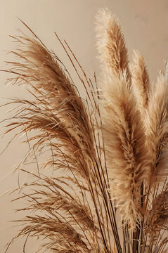 Close up view of golden wheat ears in a summer field