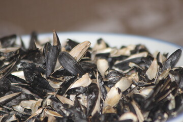 Sunflower Seed Shells Close Up