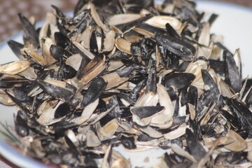 Sunflower Seed Shells Close Up