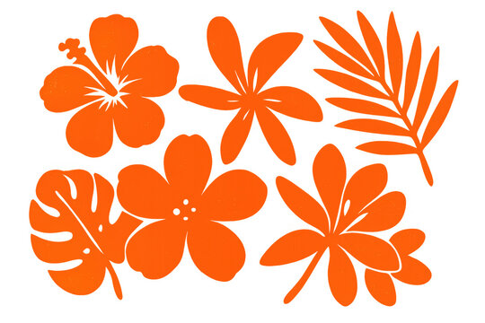 Tropical flowers silhouetted in bright orange against transparent background, featuring hibiscus, monstera, and plumera blossoms creating summer-inspired design pattern