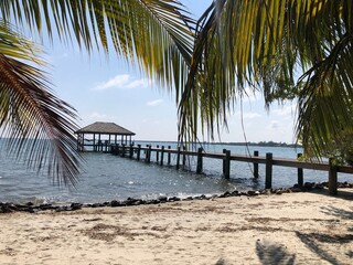 Idyllic Pier Stretching Over the Sea with Beach and Palm Trees in Placencia, Belize