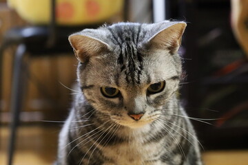 何を見つめているの？