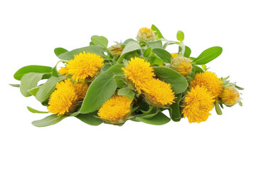Bright Yellow Blossoms bloom among Lush Green Leaves in nature theme