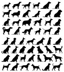 Various yarn balls and knitting needles in a black and white line drawing style