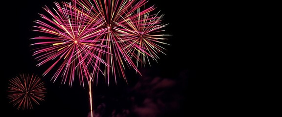 Vibrant fireworks burst against a dark night sky, exploding in colorful streaks of light,  festive, fireworks