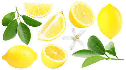 Fresh lemons, green leaves and flower on white background, collage. Citrus fruit