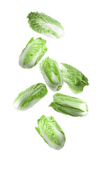 Fresh Chinese cabbages falling on white background