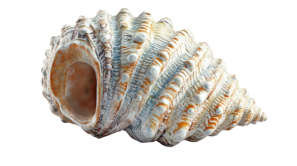 Atomic shell model Transparent background, PNG file