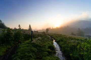 Morning hike along the Appalachian Trail so beautiful that even Taylor Swift would be left speechless. Located on the border of Tennessee and North Carolina border