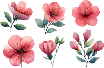 seamless pattern with pink flowers