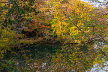 日本の風景・秋　世界遺産・白神山地　紅葉の十二湖　王池
