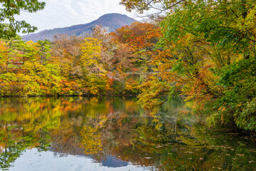 日本の風景・秋　世界遺産・白神山地　紅葉の十二湖　王池