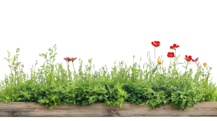 Garden row marker string type, Transparent background, PNG file Prompter Creative