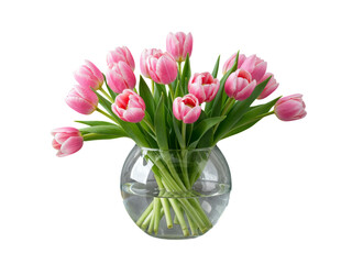 Fototapeta premium A beautiful bouquet of pink tulips in a clear glass vase isolated on transparent background