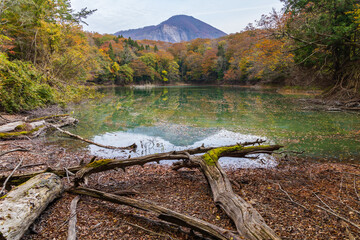日本の風景・秋　世界遺産・白神山地　紅葉の十二湖　日暮の池