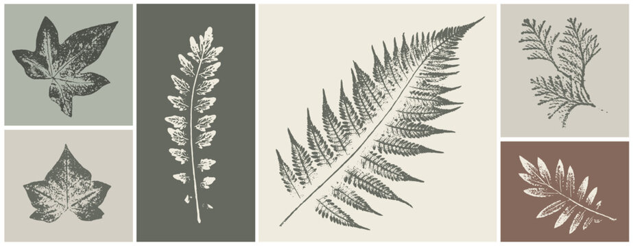 Trendy botanical illustration sketch drawing on neutral brown and green for decorative print or natural background. Floral motif for card or invitation design.