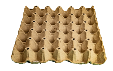 Empty paper tray for contain egg on white background