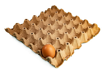 Brown egg in paper tray for cooking on isolated 