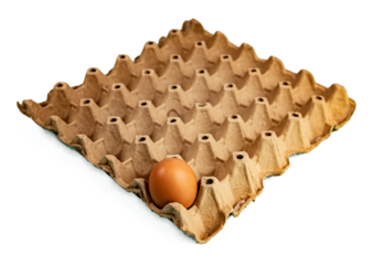 Brown egg in paper tray for cooking on isolated 