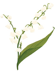 Lily of the valley flowers (은방울꽃 그림)