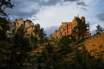 Scenic ridgeline at twilight with beautiful orange rock formations and ponderosa pine trees, Mossy Cave Trail, Bryce Canyon National Park, Utah
