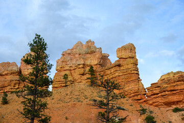 Scenic ridgeline at twilight with beautiful orange rock formations and ponderosa pine trees, Mossy Cave Trail, Bryce Canyon National Park, Utah
