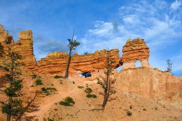 Scenic ridgeline at twilight with beautiful orange rock formations and ponderosa pine trees, Mossy Cave Trail, Bryce Canyon National Park, Utah
