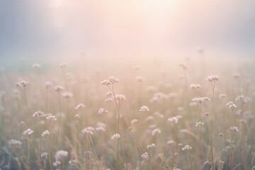 Fototapeta premium Serene Morning Meadow with Dancing Wildflowers in Soft Pastel Hues