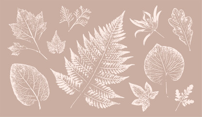 Pink tan and brown floral prints of botanical illustration. Decorative set of flowers and leaves pressed or stamped. © CaptureAndCompose